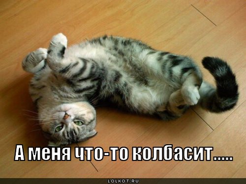 меня колбасит