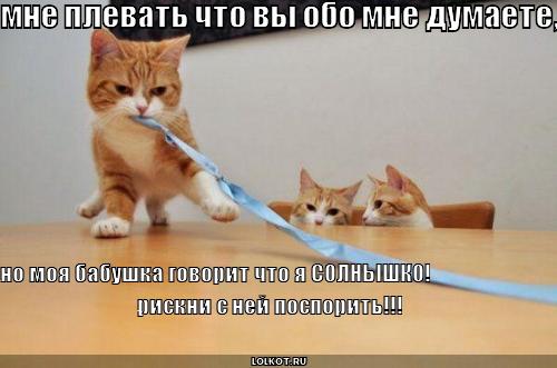 мне плевать