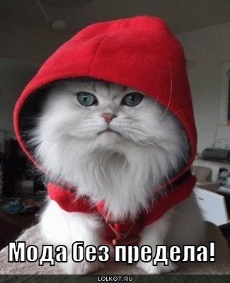 мода без предела!