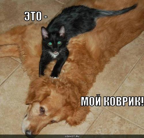 мой коврик