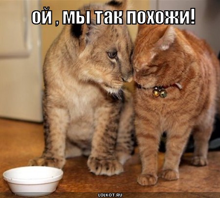 мы так похожи!