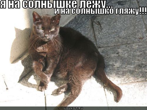на солнышке