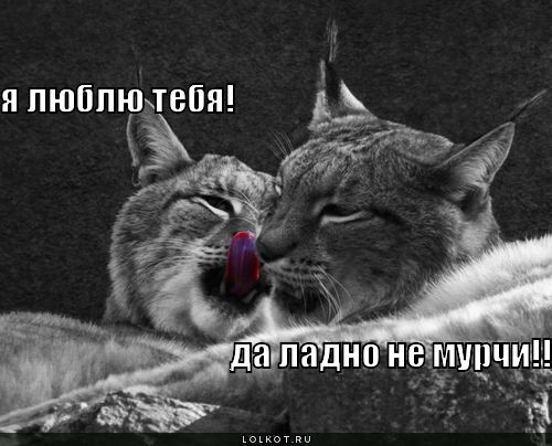 не мурчи!