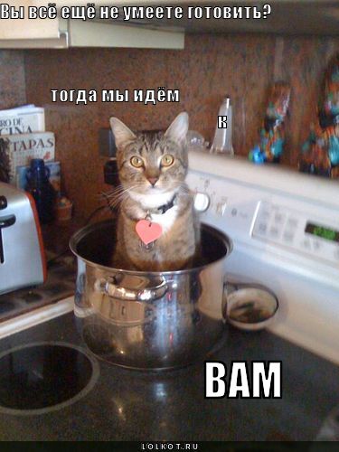 не умеете готовить?