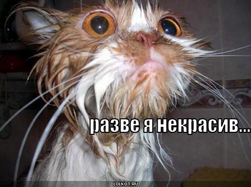 некрасив