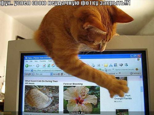 неудачная фотка