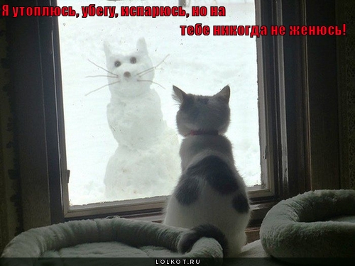 никогда не женюсь!