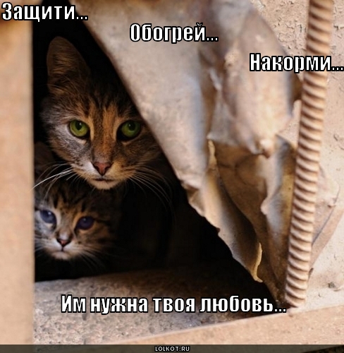 нужна твоя любовь