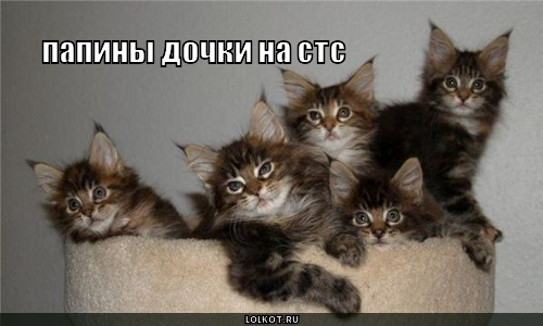 папины дочки на стс