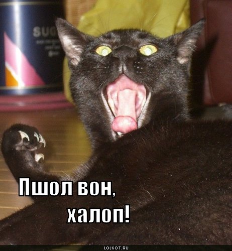 пшол вон!