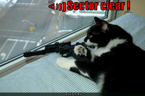 sector clear!