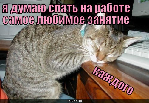 спать на работе