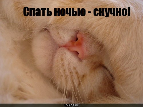 спать скучно