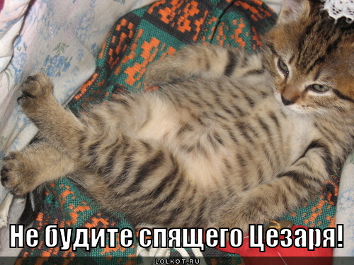 спящий цезарь