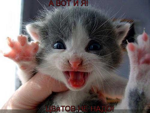цвятов не надо!