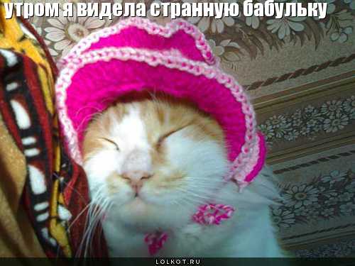 видела бабульку 