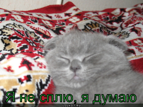 я не сплю