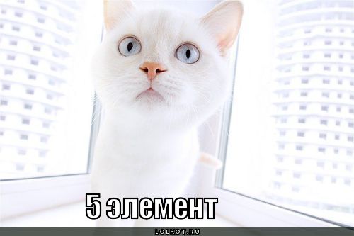 5 элемент