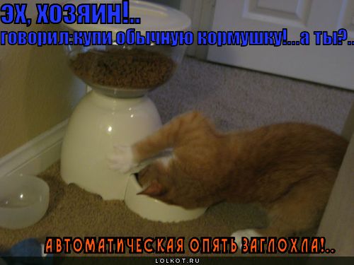 автоматическая кормушка