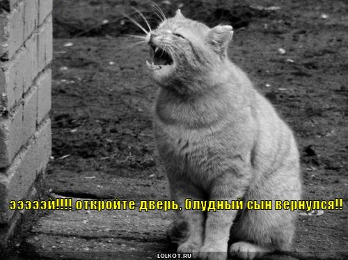 блудный сын