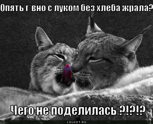 чего не поделилась!?