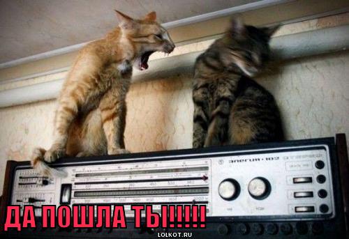 да пошла ты!
