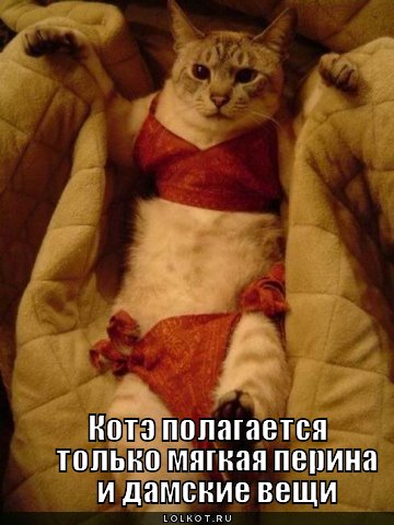 дамские вещи