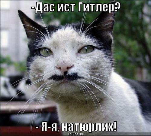 дас ист гитлер
