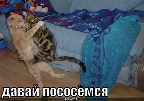 давай пососёмся