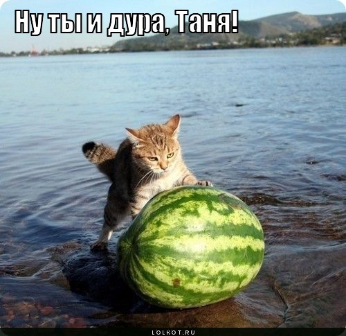 дура
