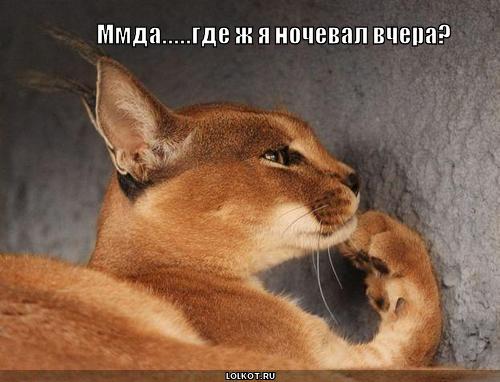где ночевал?