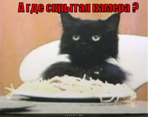 где скрытая камера ?