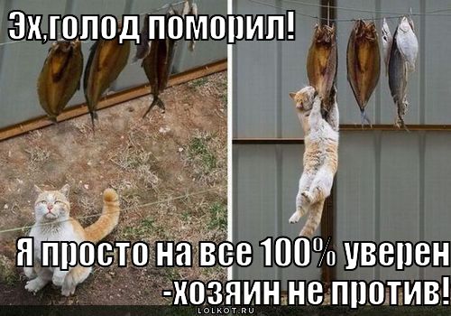 голод поморил