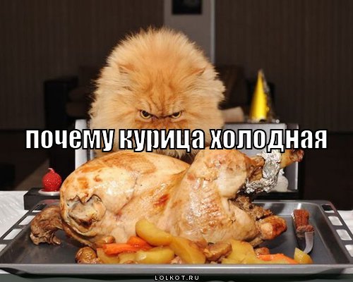 холодная курица