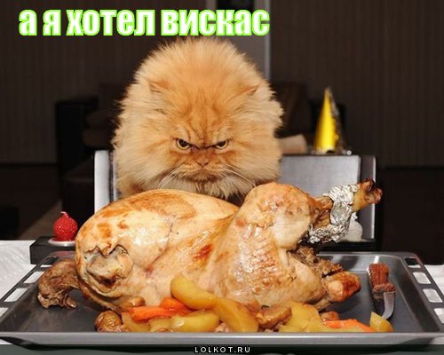 хотел вискас 