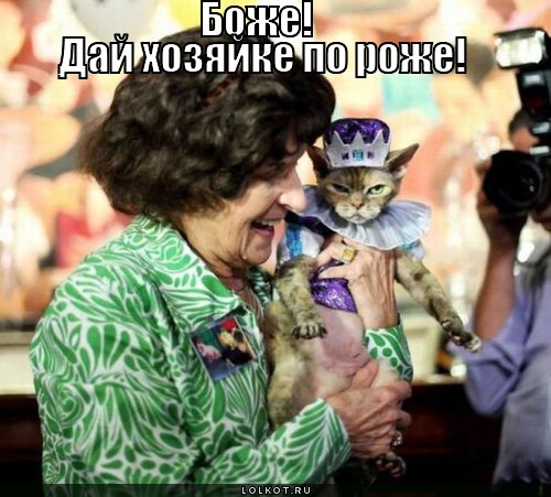 хозяйке по роже