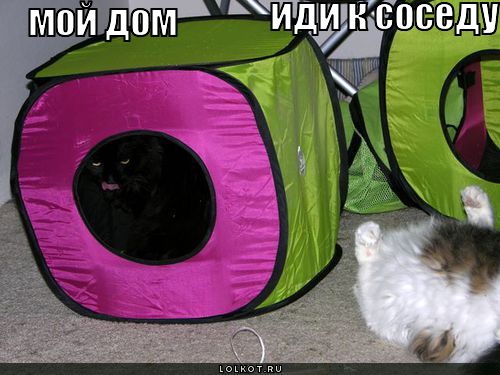иди к сосед