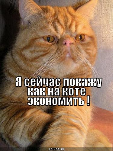 как экономить