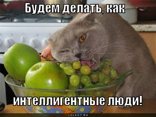 как интеллигентные люди