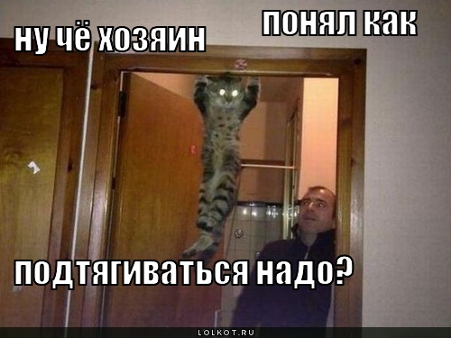 как подтягиваться