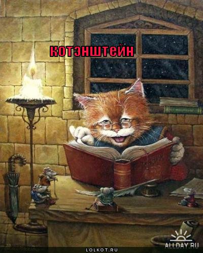 котэнштейн
