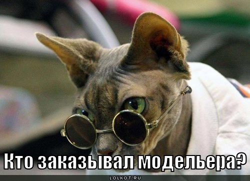 кто заказывал модельера?