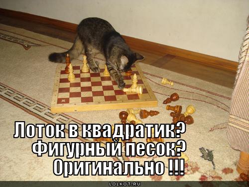 лоток в квадратик