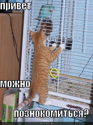 можно познокомиться?
