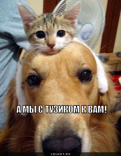 мы к вам!