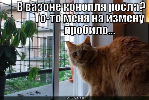 на измену пробило
