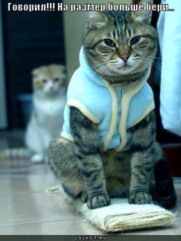 на размер больше
