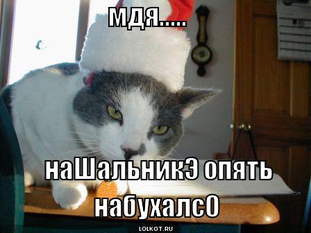 нашальникэ набухалсо