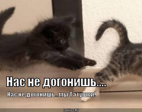 не догонишь.