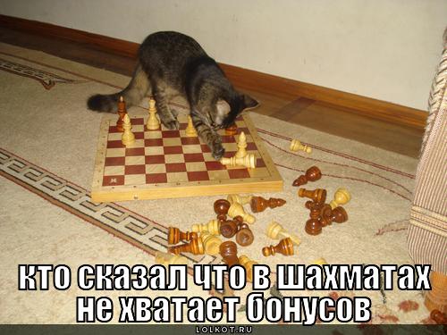 не хватает бонусов